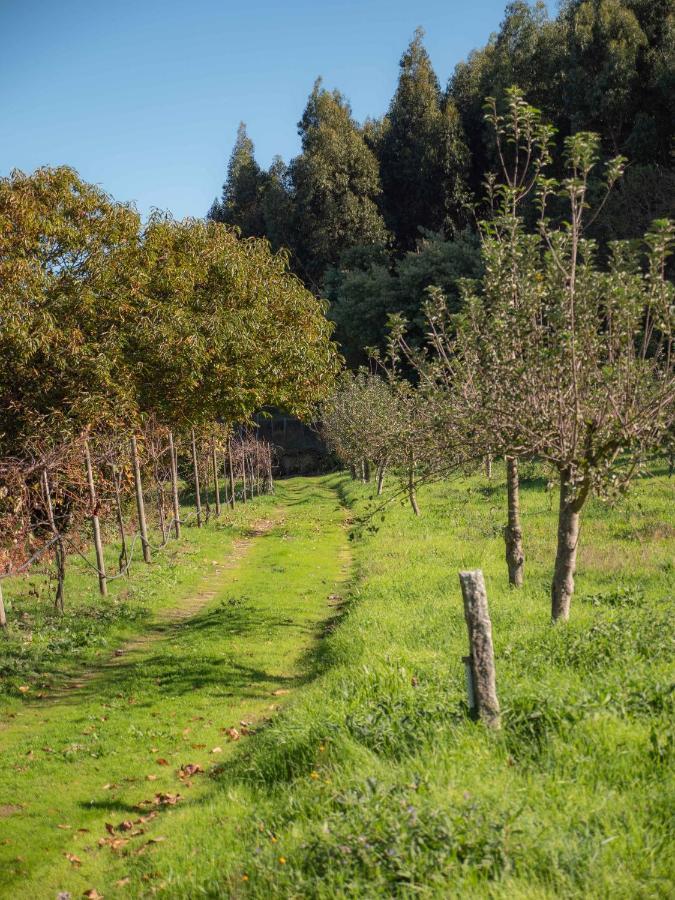 Naturena Agro-Turismo Guest House Durrães Eksteriør bilde